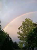 Rainbow above green Trees scene