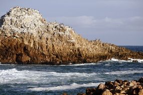 wild rocky coast at ocean, South Africa, Knysna Heads