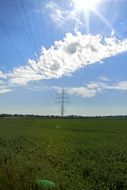 power lines on the summer field