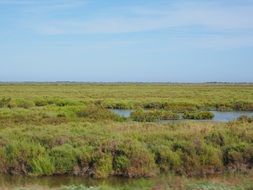 camargue nature park in France