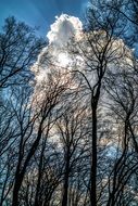 Cloud Light Forest Sky Rays