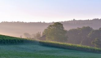 idyllic nature in the morning haze
