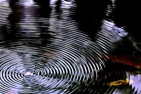 water waves on the pond