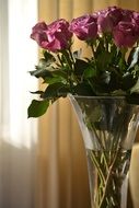 romantic roses in the vase