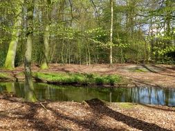 Landscape of Egestorffpark