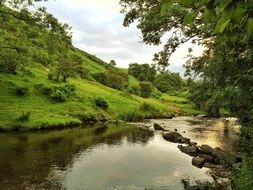 Countryside River, devon