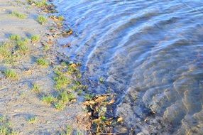 water edge of a sandy shore