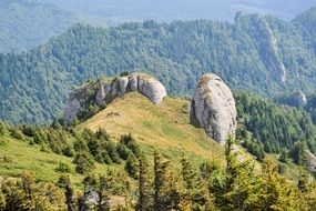 panoramic view of forest on cliffs in green mountains