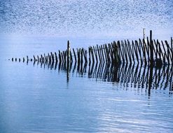 extraordinary wood Fence