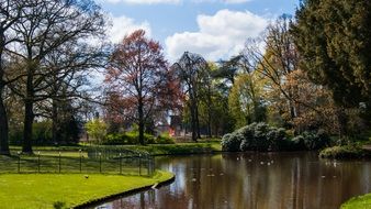 pond in beautiful park at fall