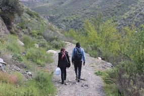 hiking in the mountains of baja california