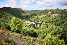 Beautiful landscape with the bridge in summer