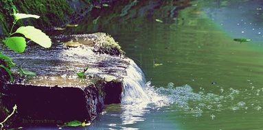 a cold spring flows from a stone into a lake