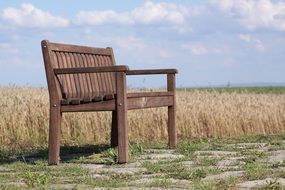 wooden bench in the field