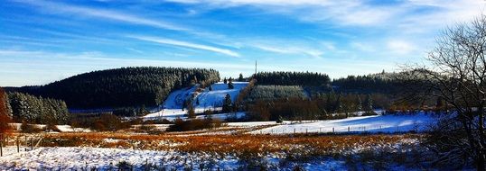 mountain landscape with trees in winter