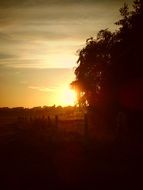 romantic sunset in countryside