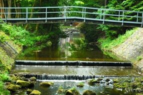 bridge over cascading river in the forest