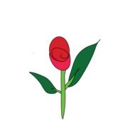 drawing of a red rose