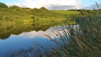 landscape of pond among wild nature