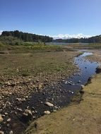panorama of a wild stream in the country