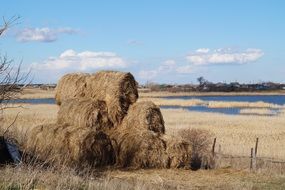 hay in the village by the river