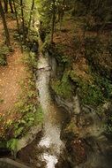 delightful Stream Forest river