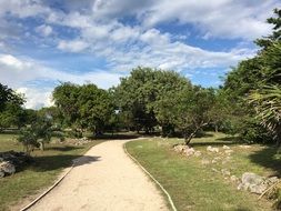 path for walks in the park