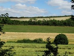 panoramic view of arable land on a sunny day