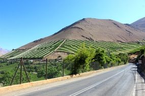 road among the picturesque landscape in the province of elqui in chile