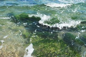picturesque and pretty Sea Waves