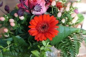 Red Flower in a bouquet