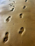 human Traces in opposite directions on Sand Beach