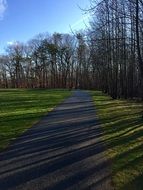 path for a walk near the trees