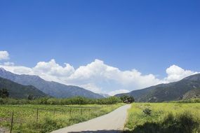 Landscape of the field in Chile on a sunny day