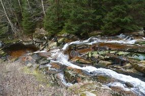 stream in the forest among the stones