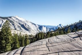 stunningly beautiful Stone Trees