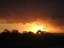 Summer landscape with sunset