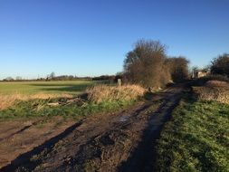 dirt road in puddles in the countryside