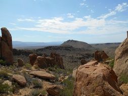 Landscape of the desert in the summer