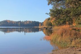 autumn trees near the pond on a sunny day
