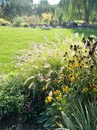 perfect beauty Grass Nature
