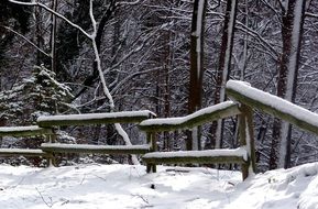winter season landscape