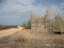 picturesque and pretty Mediterranean Dune