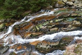 stream among stones in the forest