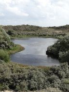 Lake In The Dunes