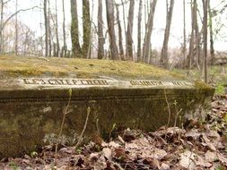 The Ruins Of The Cemetery in a forest