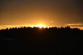 sunset behind the forest trees