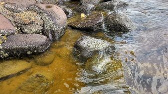 stones on the river bank in Brazil