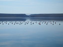 landscape of pager bridge in croatia