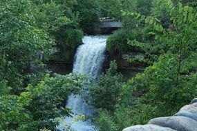 waterfall in green thickets of forest